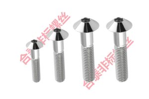 戶外市政工程電器設備不銹鋼傘頭鏡面螺絲